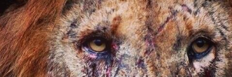 ErjonTRP's profile banner image