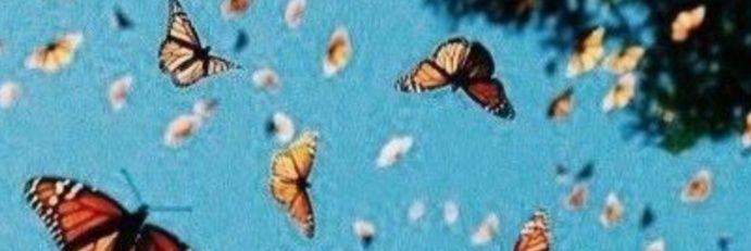 FlorenciaBubble's profile banner image