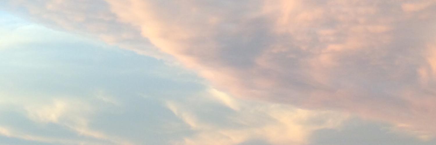 nicodeangelis's profile banner image