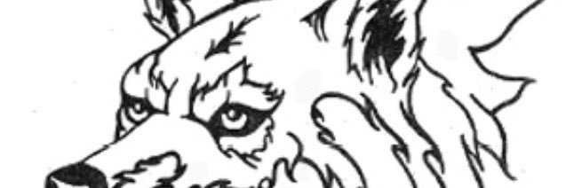 rfig10's profile banner image