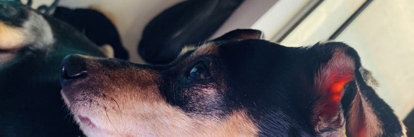 Sebastian__O's profile banner image