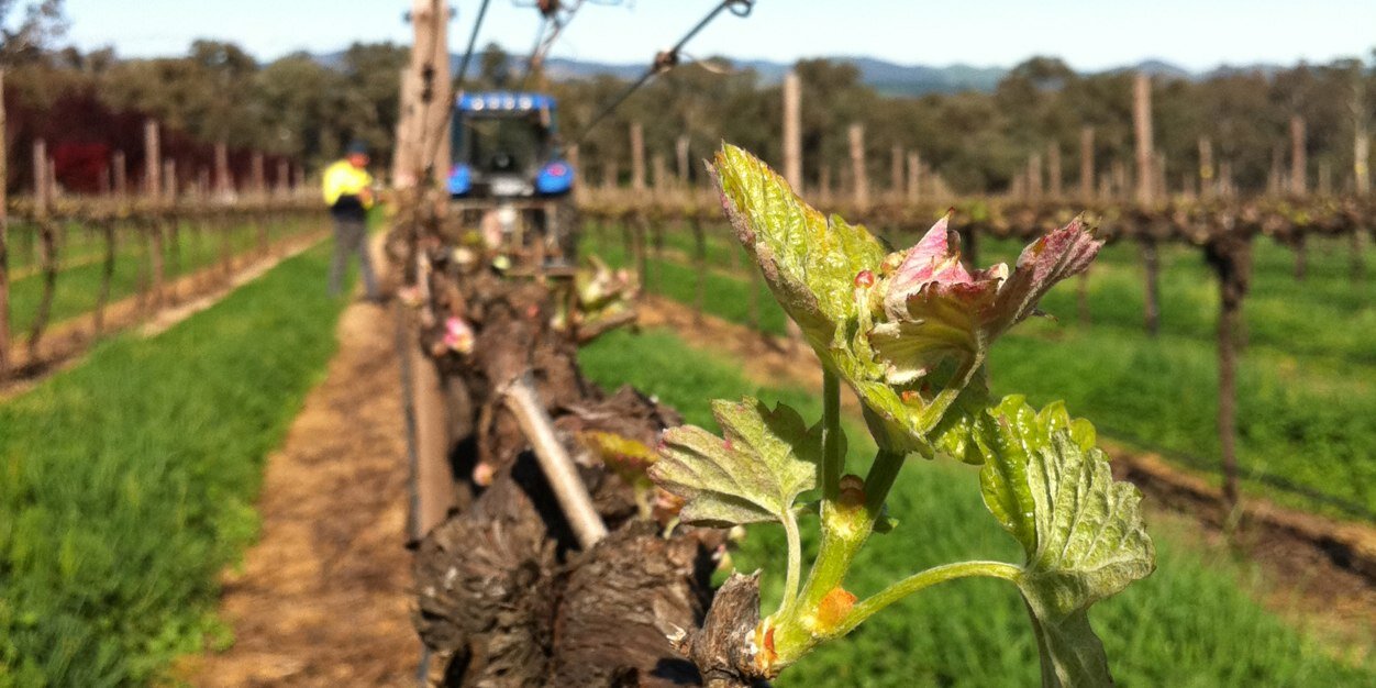 GapstedWines's profile banner image