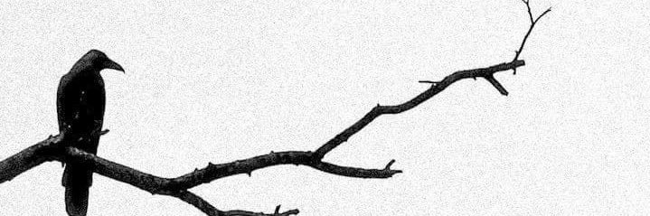 Jaffar274's profile banner image