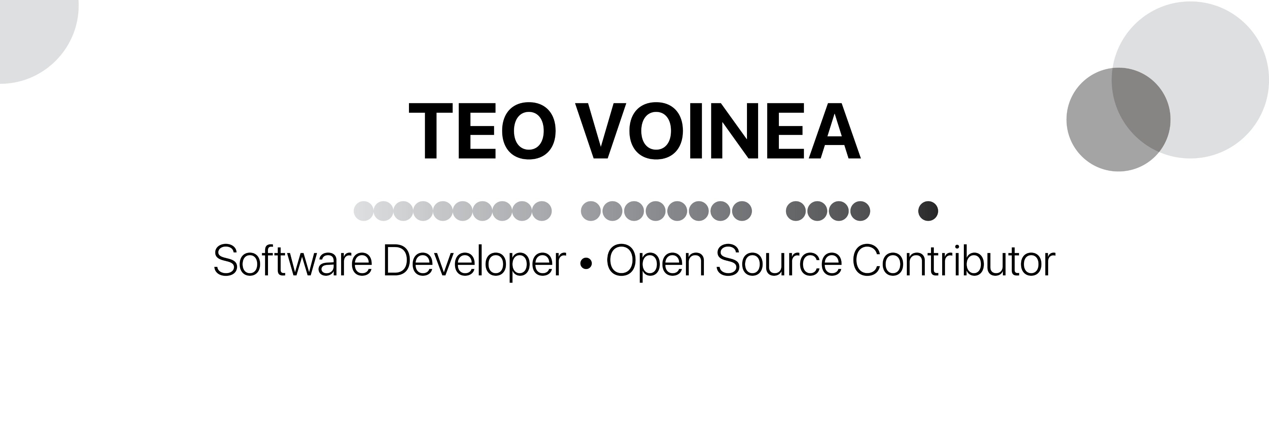 TeoVoinea's profile banner image
