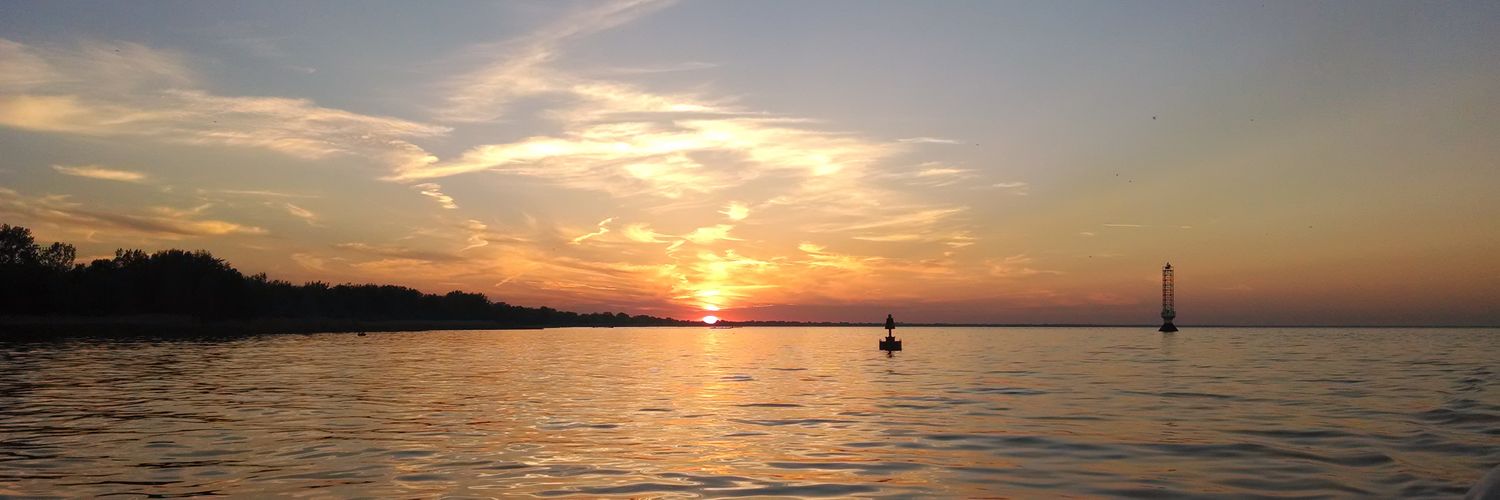 TweetKellyD's profile banner image