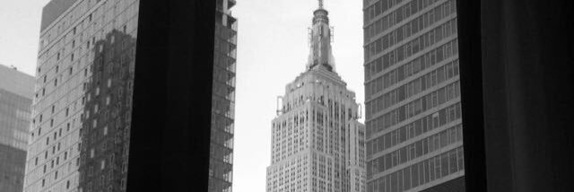 MaddiPeltzman's profile banner image