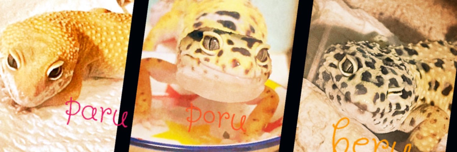 simodaaaan's profile banner image