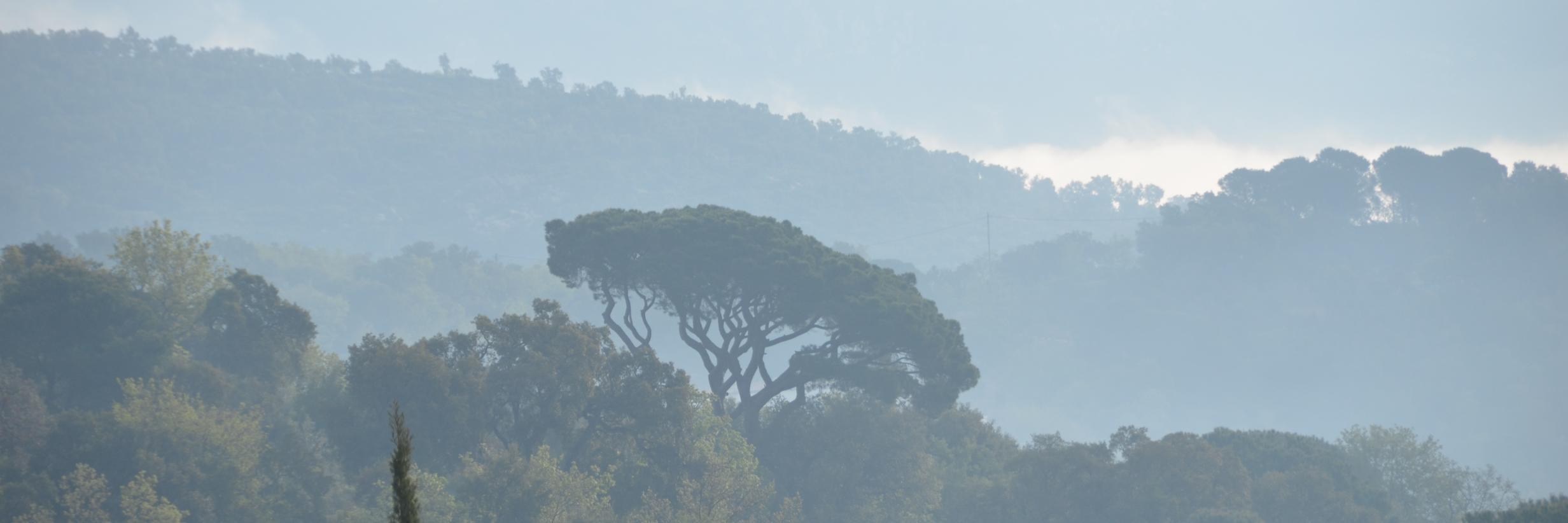 Alain Strowel banner