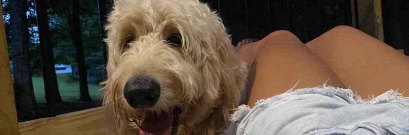 KendraSMitchell's profile banner image