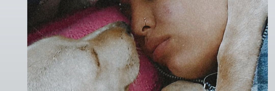 FlorAilen18's profile banner image