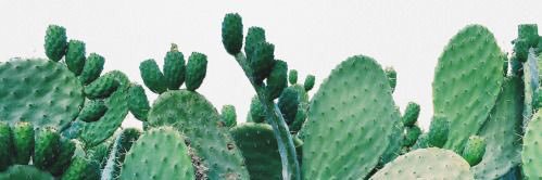 Alex_vargas19's profile banner image