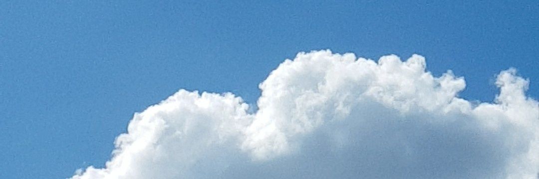 TheBarbieBiatch's profile banner image