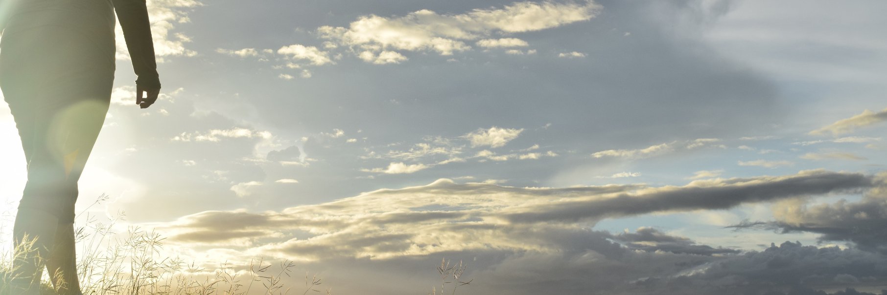 Stephanie Abel banner