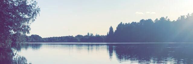 alli_vf's profile banner image