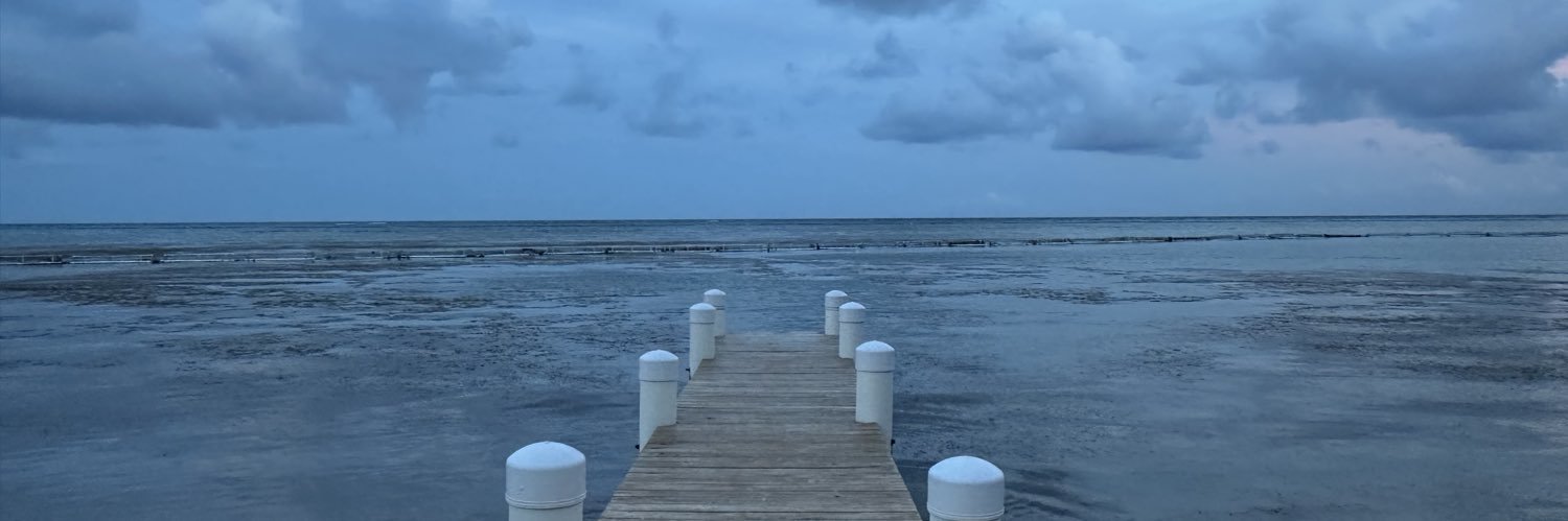 thelegshow's profile banner image
