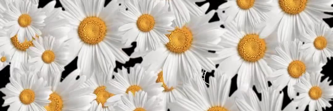 Euge_Quinteros's profile banner image