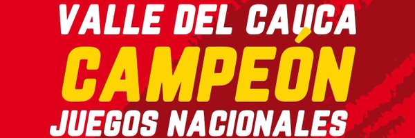 Silvana_FE Profile Banner