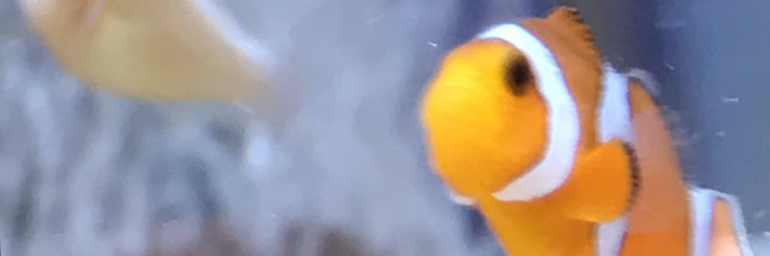 puuun♡ banner