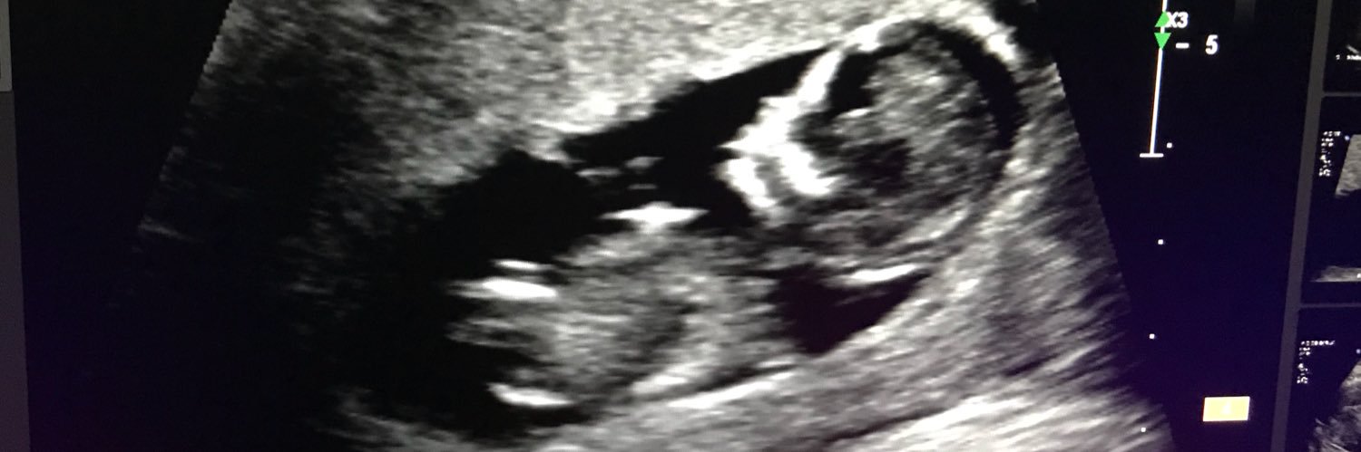 Amandemanda's profile banner image