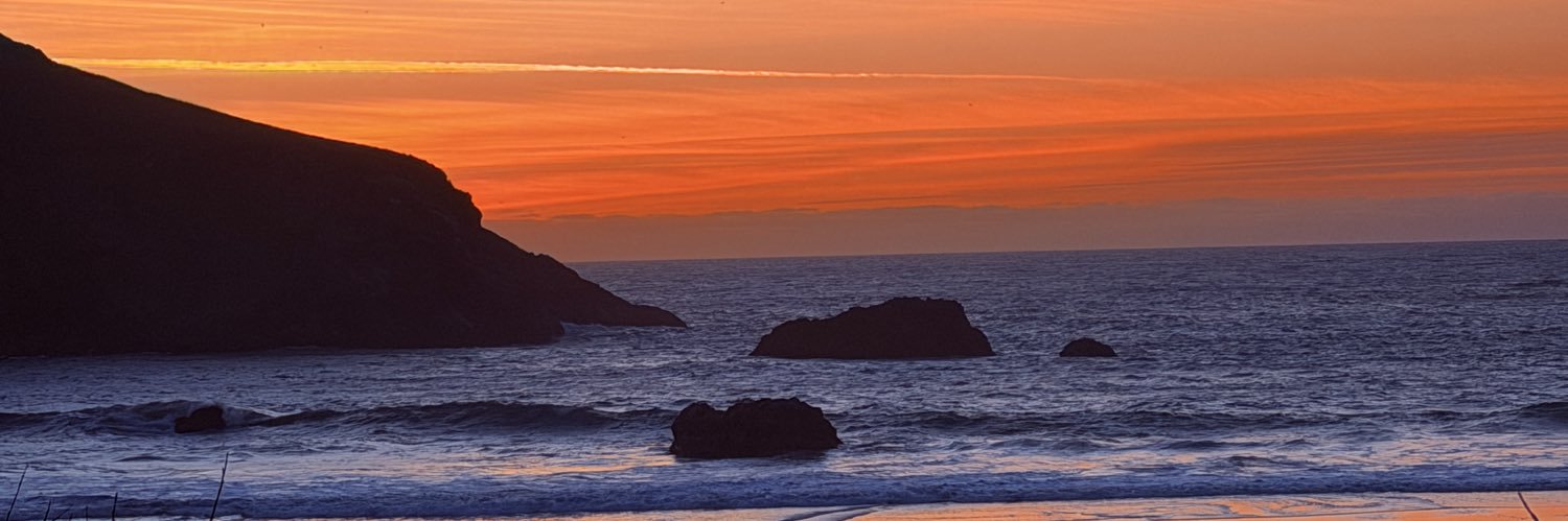 chimp_21's profile banner image