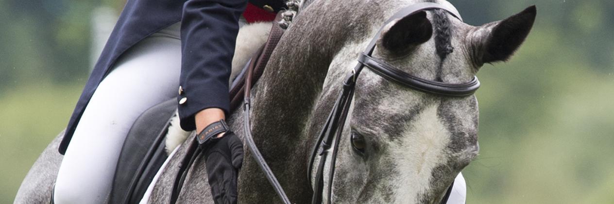 irisheventing's profile banner image