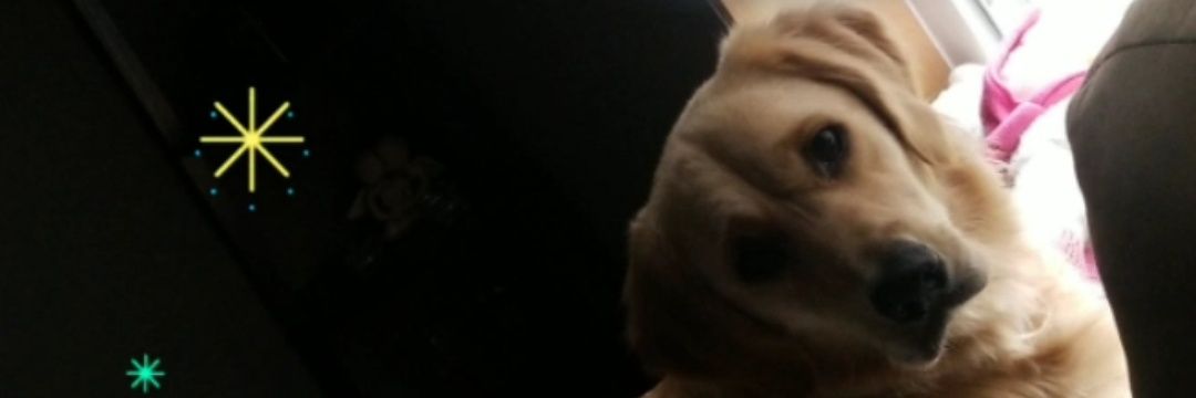 mlkriegel's profile banner image