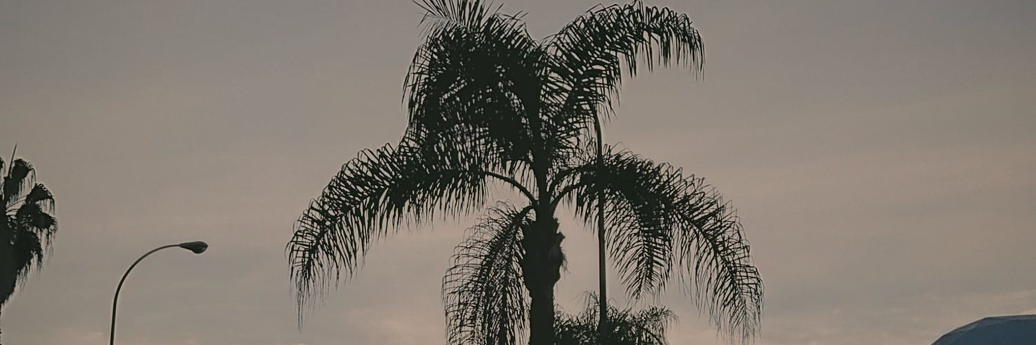 ComicsKanary's profile banner image