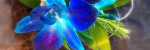 arc1001's profile banner image