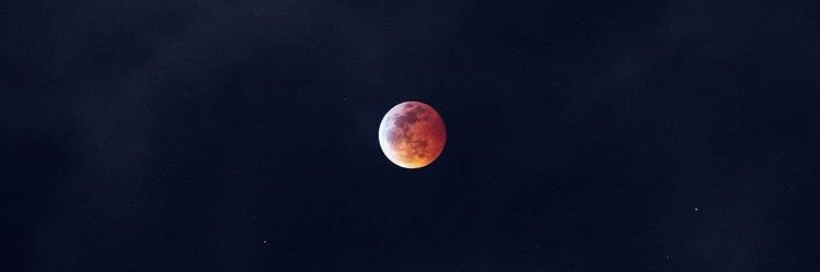 Lᴏʟɪᴛᴀ banner