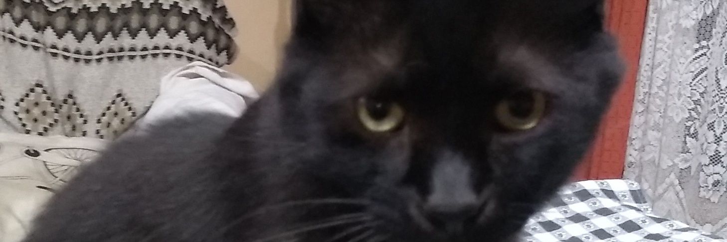 lorena veronica kali banner