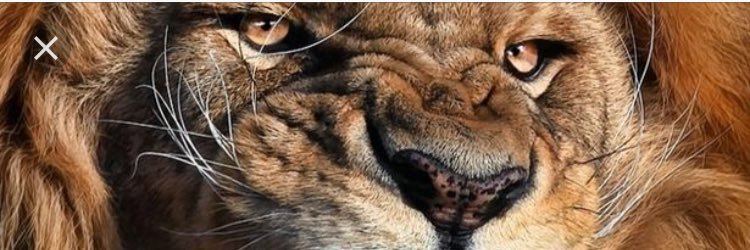 SmoothJJH's profile banner image