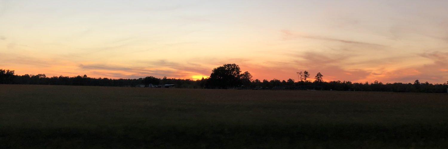 brookelyniece's profile banner image
