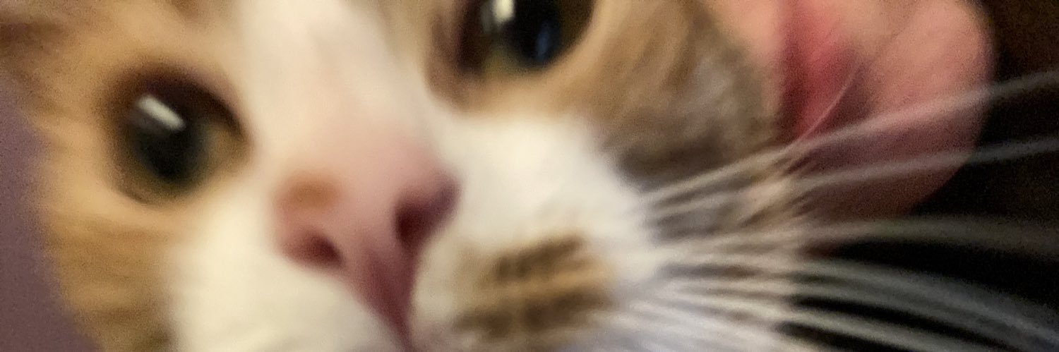 natalie9101's profile banner image