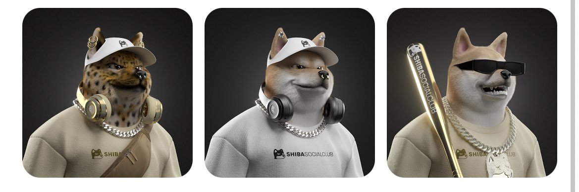 STEW_MONTANA's profile banner image
