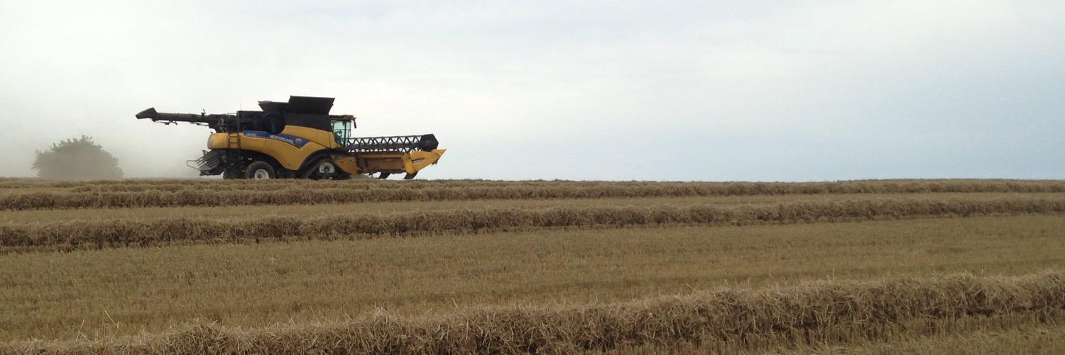 Chris Puttick banner