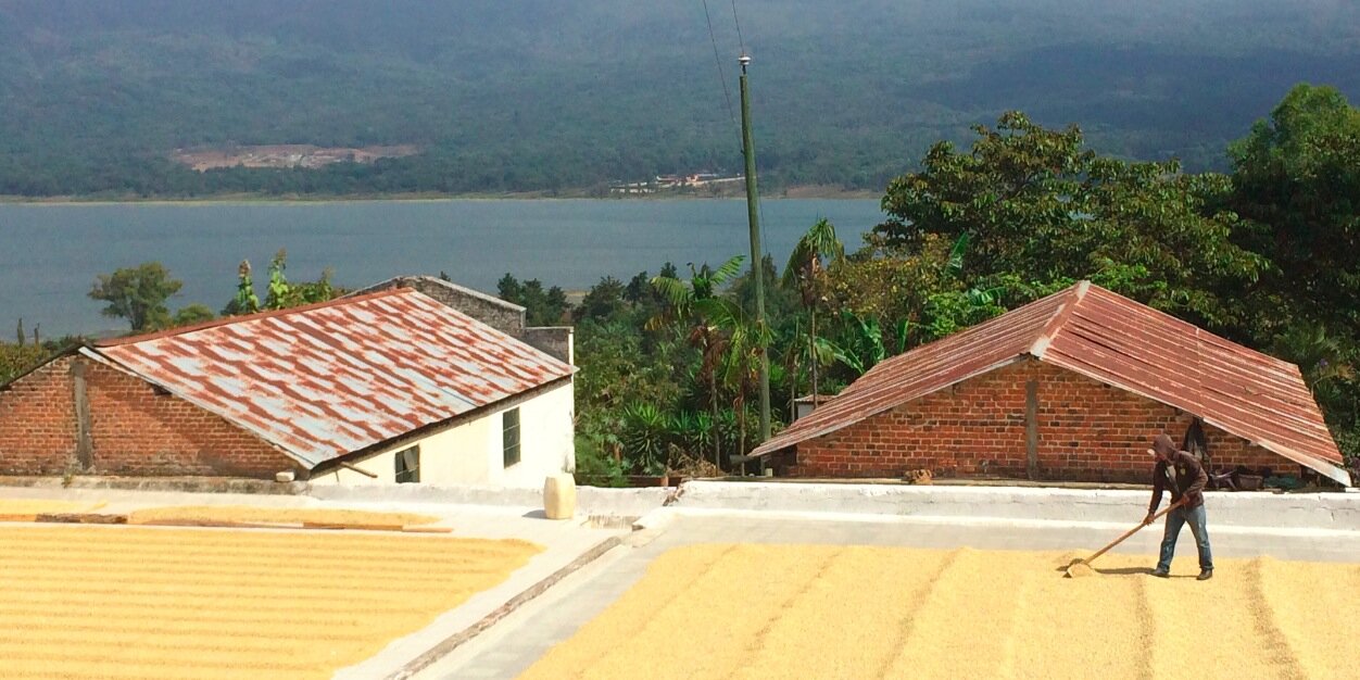 BeaconCoffee's profile banner image