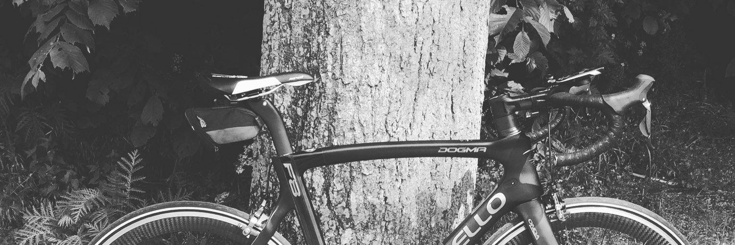 everaerts_bert's profile banner image