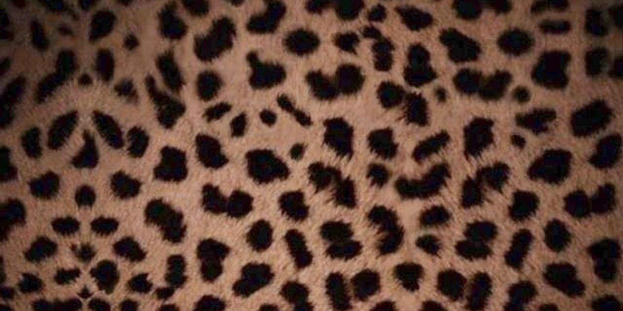 gr8ceness's profile banner image