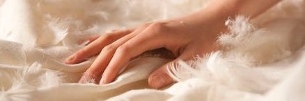 LEAVE TWILIGHT ALONE banner