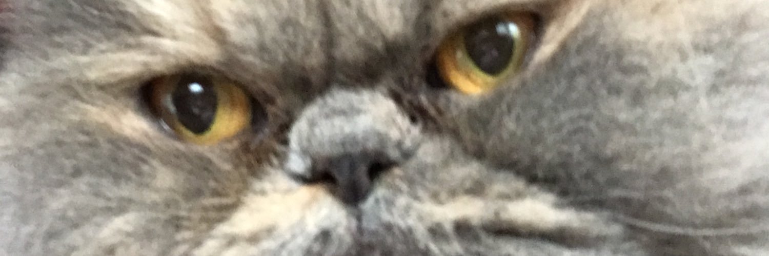 Gatotiny's profile banner image