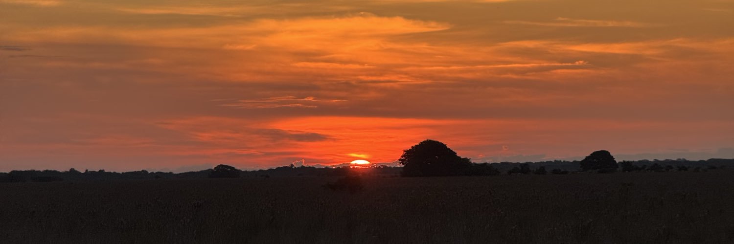 Sebastian Gómez Hurtado. banner