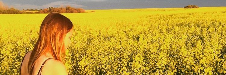 chelseyschoepp's profile banner image