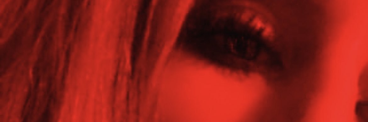 notnotleila's profile banner image