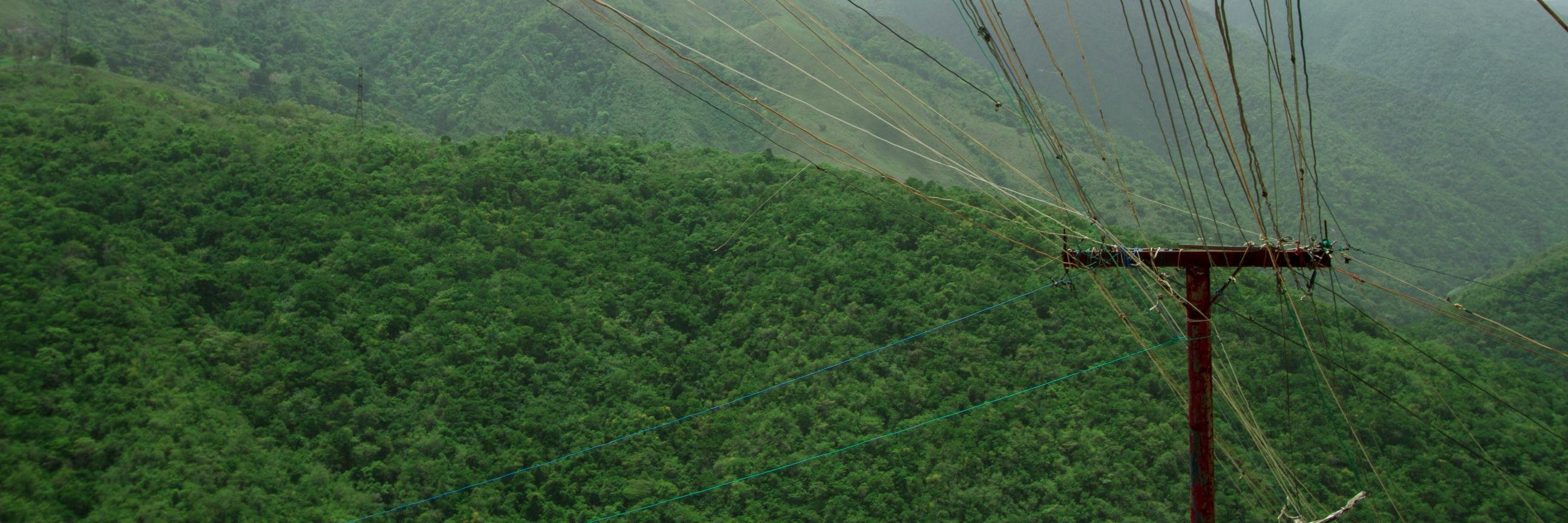 Helena Carpio banner