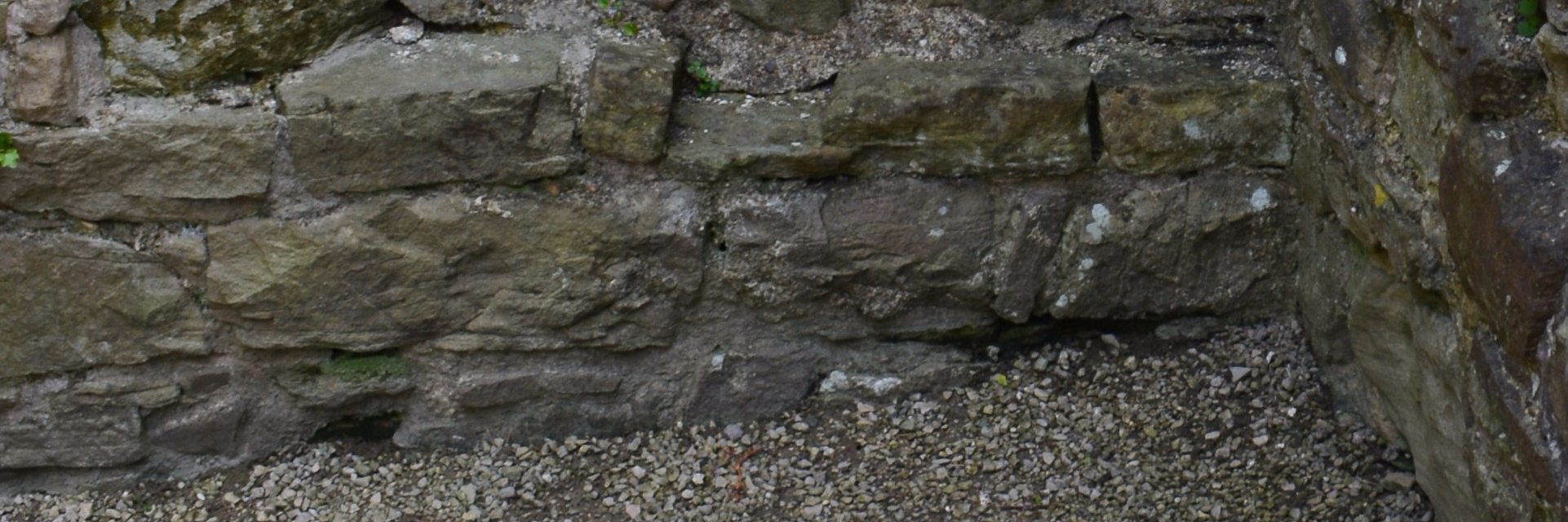 Hntr🐀- Fiends & Friends banner