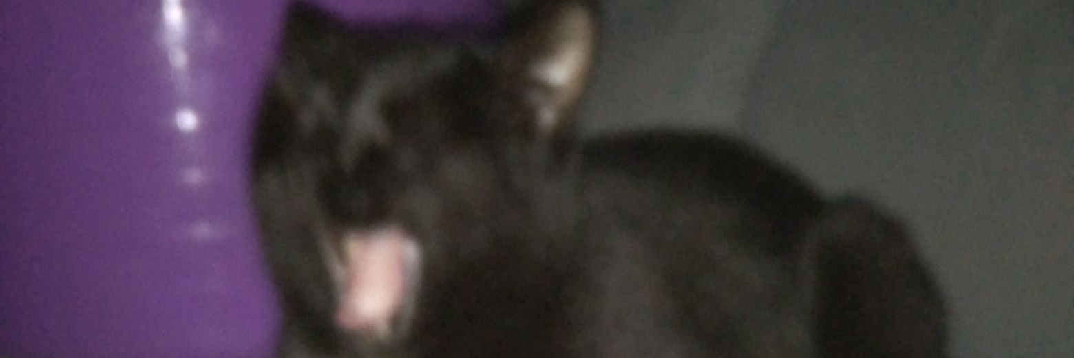 Andy71829's profile banner image