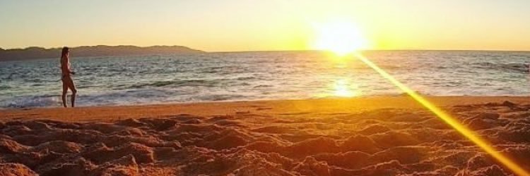 Krista banner