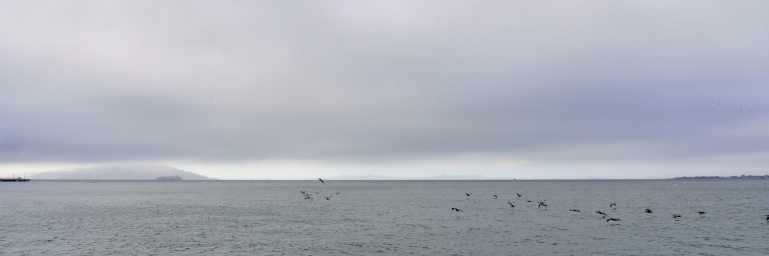 Tomasen🇺🇦🪧☮️ banner