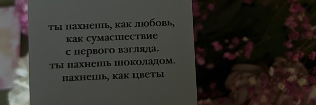 tvoyachernichka's profile banner image