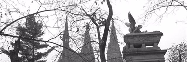 kat_rav's profile banner image